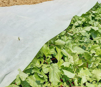 Frost Blanket as an Effective Means to Extend Vegetable Growing Season