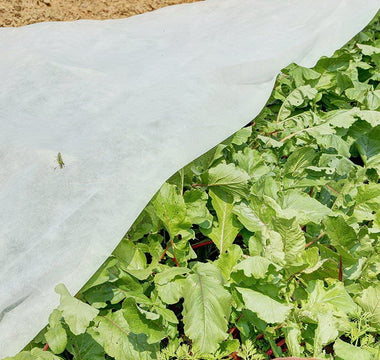 Frost Blanket as an Effective Means to Extend Vegetable Growing Season