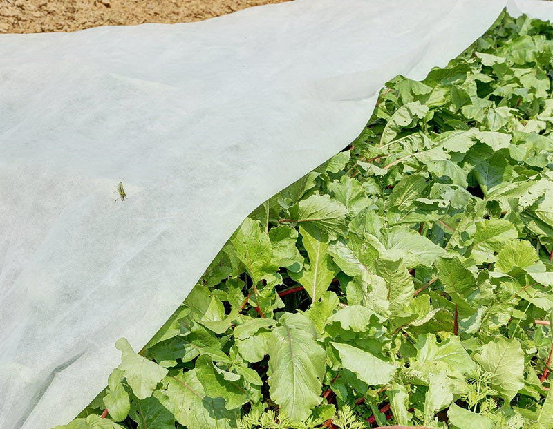 Frost Blanket as an Effective Means to Extend Vegetable Growing Season
